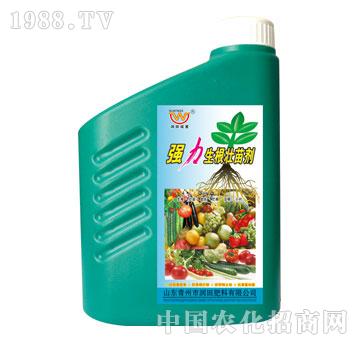 (rn)-(qing)焩1kg