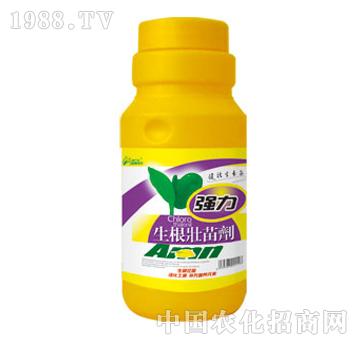 G-(qing)焩500ml