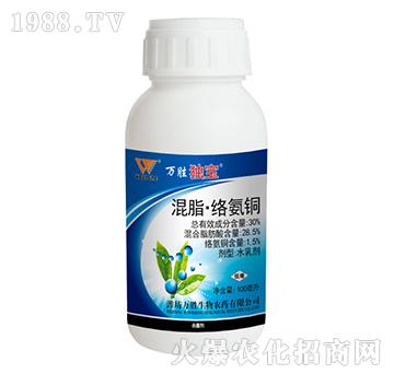 30%֬j(lu)~-f٪(d)-f