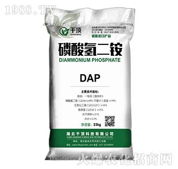 @DAP-ǧ