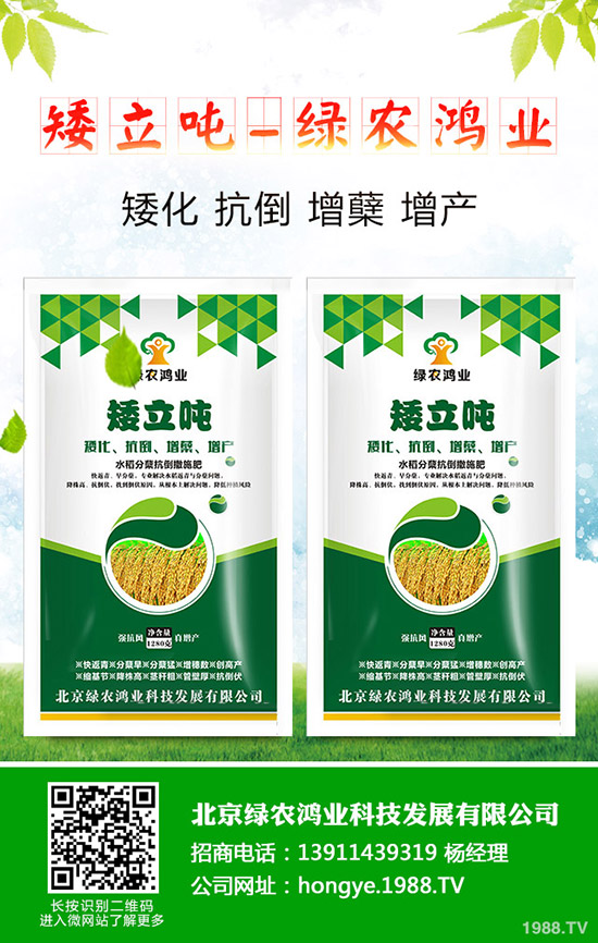 蒜苗的種植方法有哪些，如何才能獲得高產(chǎn)？