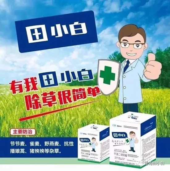 節(jié)節(jié)麥如何防除，用什么藥？怎么打藥效果好？