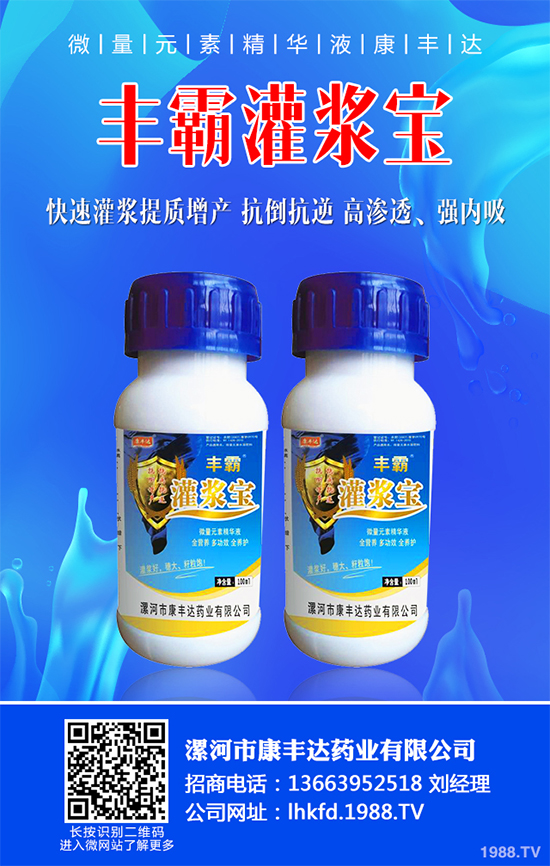 白菜黑斑病有哪些危害癥狀？白菜黑斑病的發(fā)生與防治