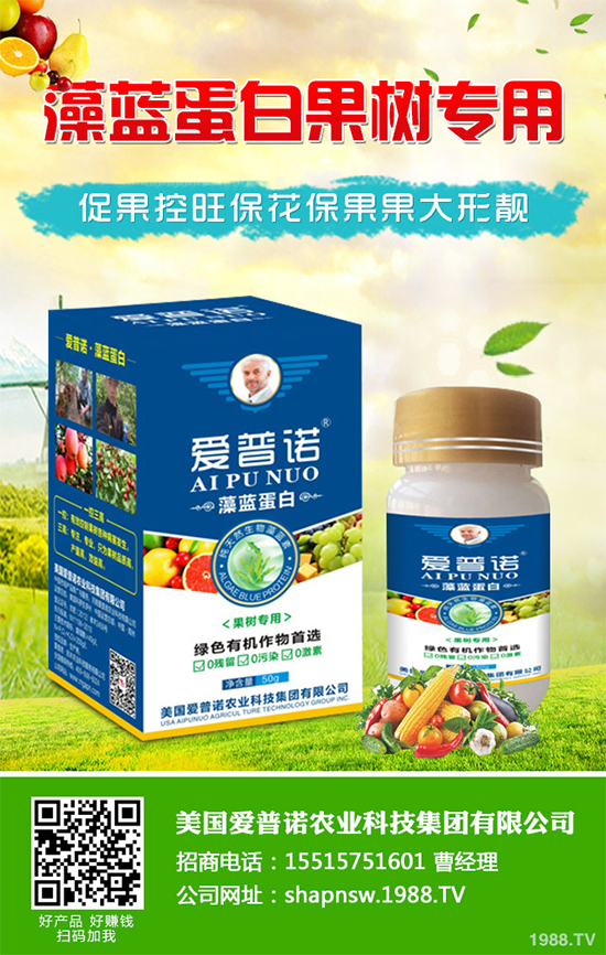 白菜黑斑病有哪些危害癥狀？白菜黑斑病的發(fā)生與防治