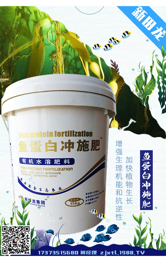 種植菠菜為什么出苗少？如何促進(jìn)菠菜發(fā)芽出苗？