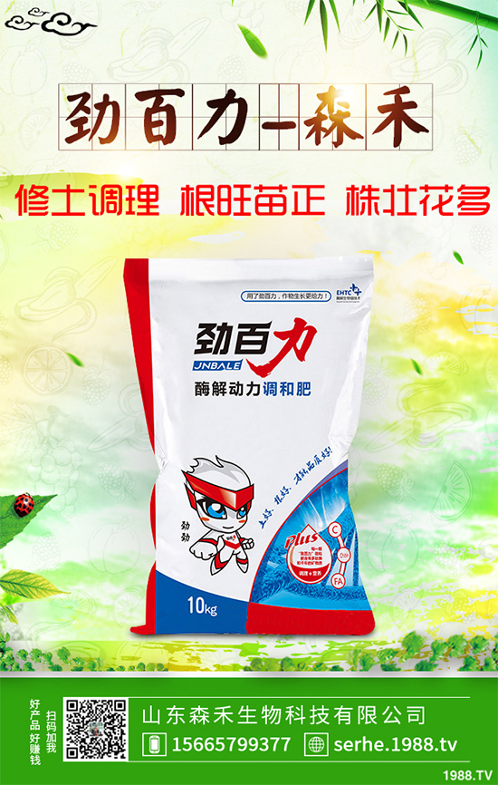 油麥菜霜霉病有哪些危害癥狀？有哪些表現(xiàn)？油麥菜霜霉病的防治措施