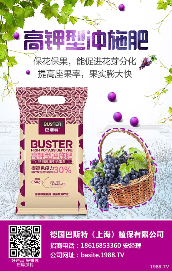 西葫蘆為什么會(huì)化瓜，西葫蘆化瓜原因及防治匯總！