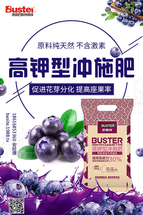 番茄灰霉病和葉霉病都有啥區(qū)別？番茄灰霉病如何防治？