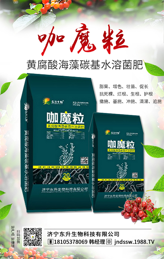 大棚草莓旺長的原因，大棚草莓旺長解決措施