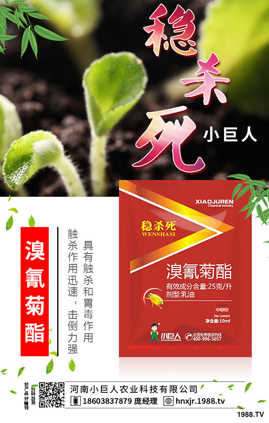 吃苦瓜對(duì)人體有什么好處？苦瓜的功效與作用有哪些？