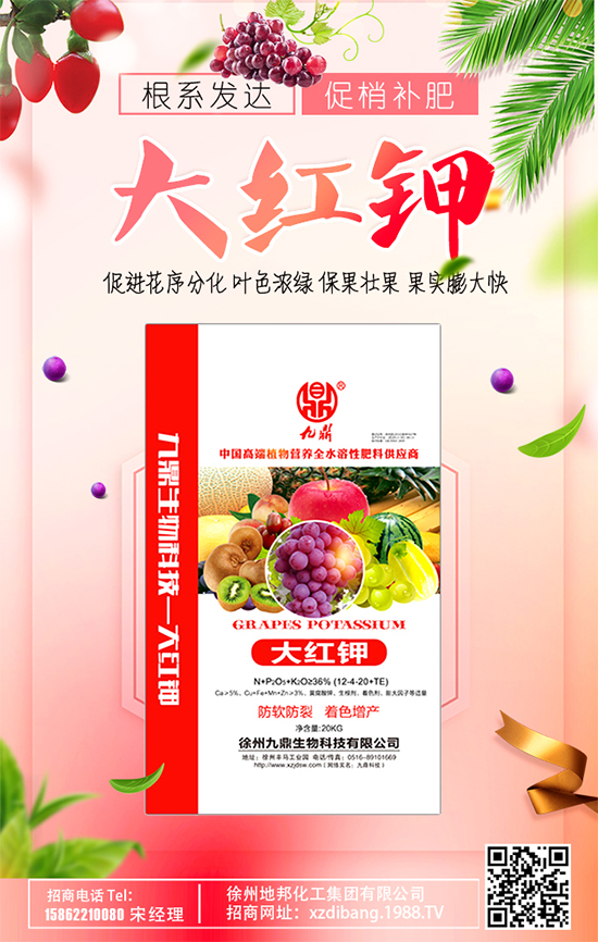 豆芽種植技術(shù)要點(diǎn)有哪些？豆芽有哪些功效作用？