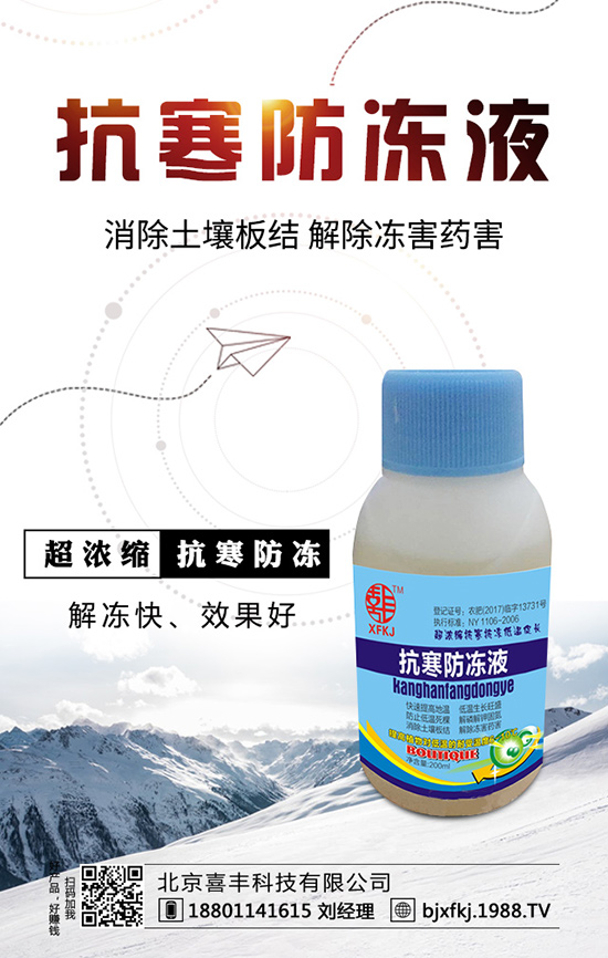 種植一畝地油麥菜一年收益多少？油麥菜種植成本及效益！