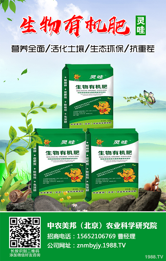 越冬蔬菜種植該注意什么？越冬蔬菜高產(chǎn)種植技術(shù)及注意事項(xiàng)