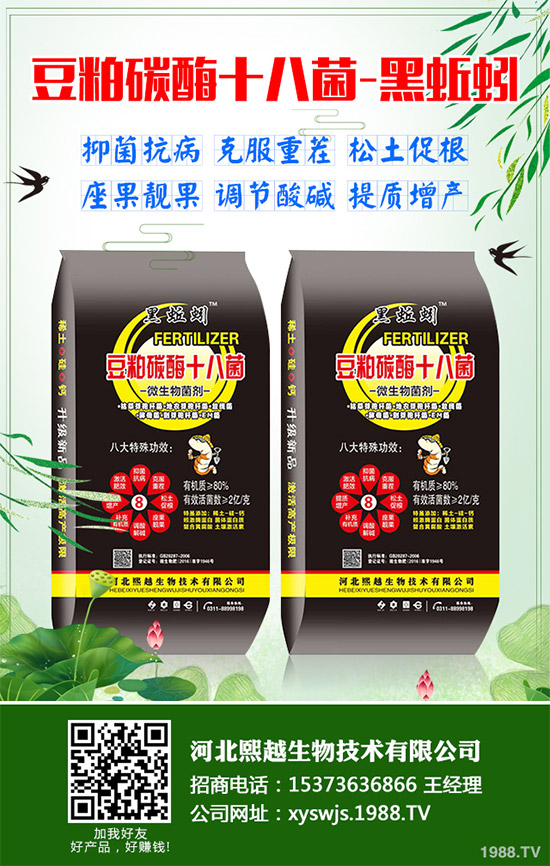 大棚韭菜該怎么種？冬季大棚韭菜種植技術要點