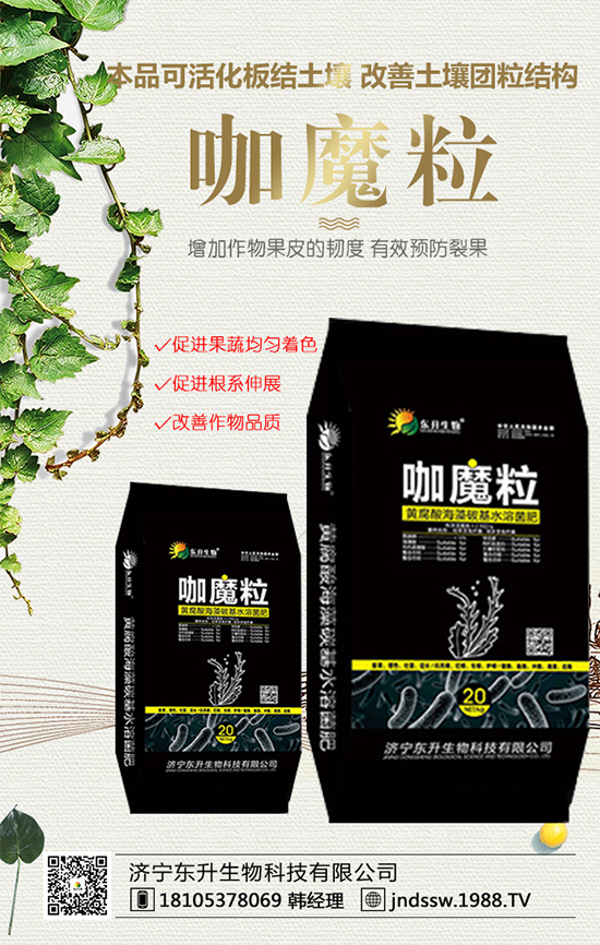 黑玉米價(jià)格多少錢一斤？2020年種植前景及效益分析！