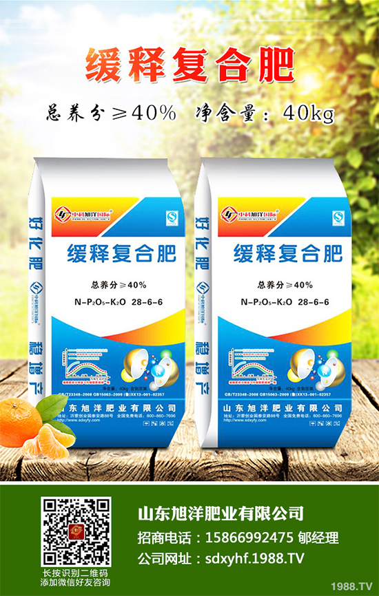 貢菊、杭白菊和胎菊有哪些不同之處？產(chǎn)地在哪？快來看看吧！