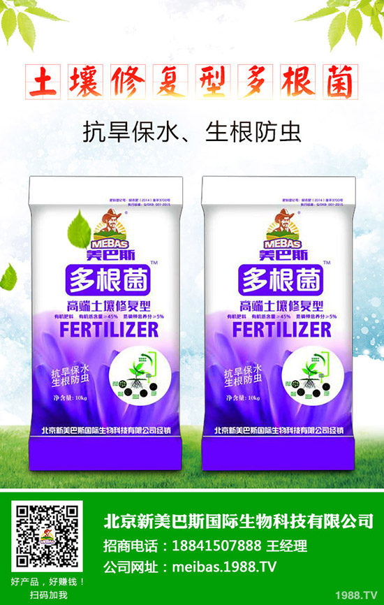 洋蔥的需肥特點有哪些？洋蔥的施肥技術是什么！