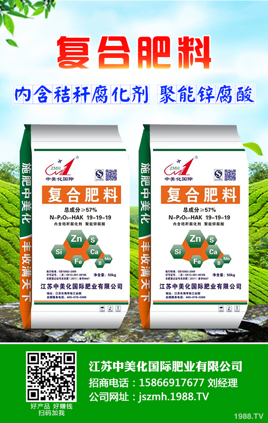 2020年茶油樹(shù)種植前景怎么樣？茶油樹(shù)種植方法有哪些