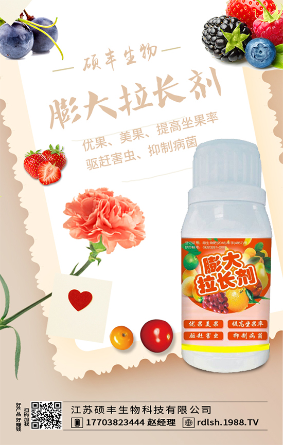 大棚西芹怎么種植？西芹的種植環(huán)境要求！