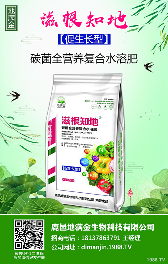     甜糯玉米什么時候種植？種植時間及種植技術(shù)和管理方法！