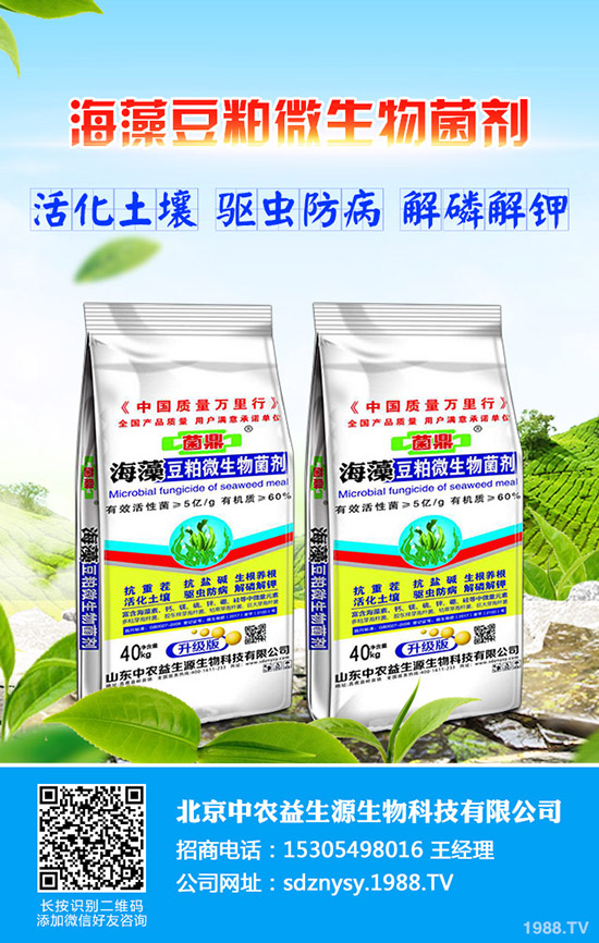     2020年種植什么比較好？常見蔬菜露天種植時(shí)間表！