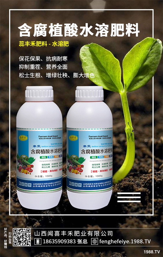 盆栽蔬菜該怎么種？盆栽蔬菜的高產(chǎn)種植技術(shù)