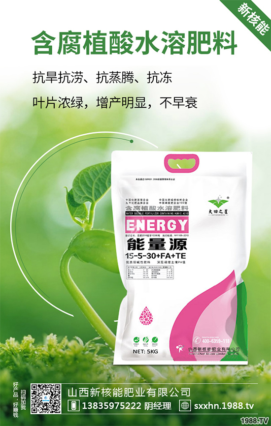 盆栽蔬菜該怎么種？盆栽蔬菜的高產(chǎn)種植技術(shù)