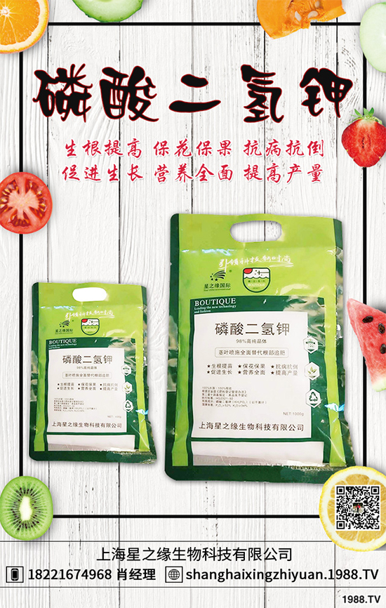 盆栽蔬菜有哪些品種？盆栽蔬菜的種植條件和注意事項(xiàng)