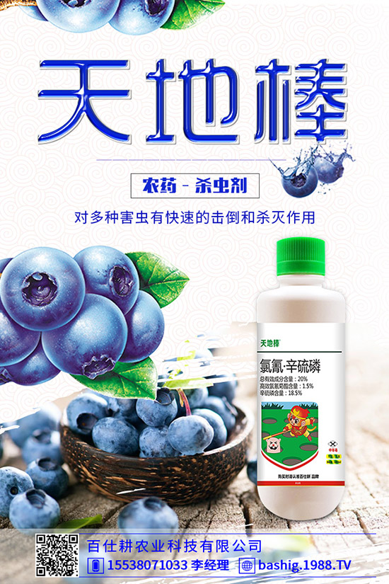 空心菜用什么肥好，空心菜的施肥技巧有哪些？