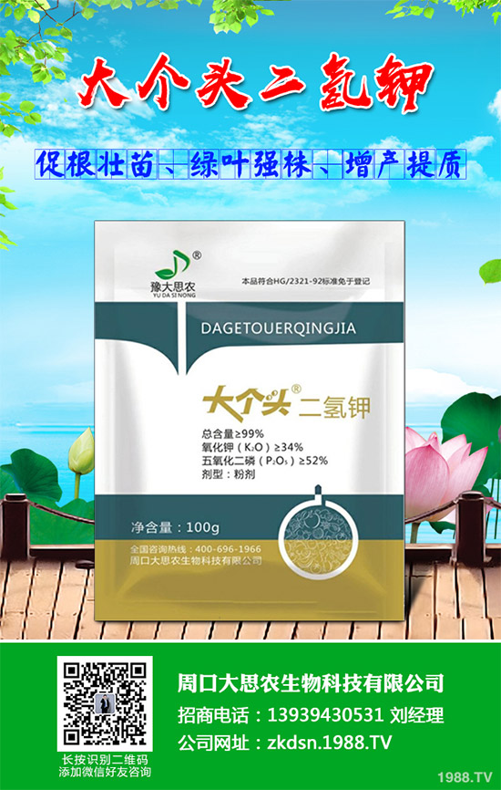 洋薊該如何種植？洋薊高產(chǎn)種植技術(shù)方案