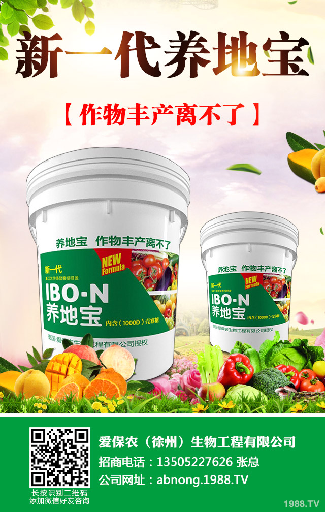 油菜葉紅苗缺什么？油菜紅苗的因素及防治