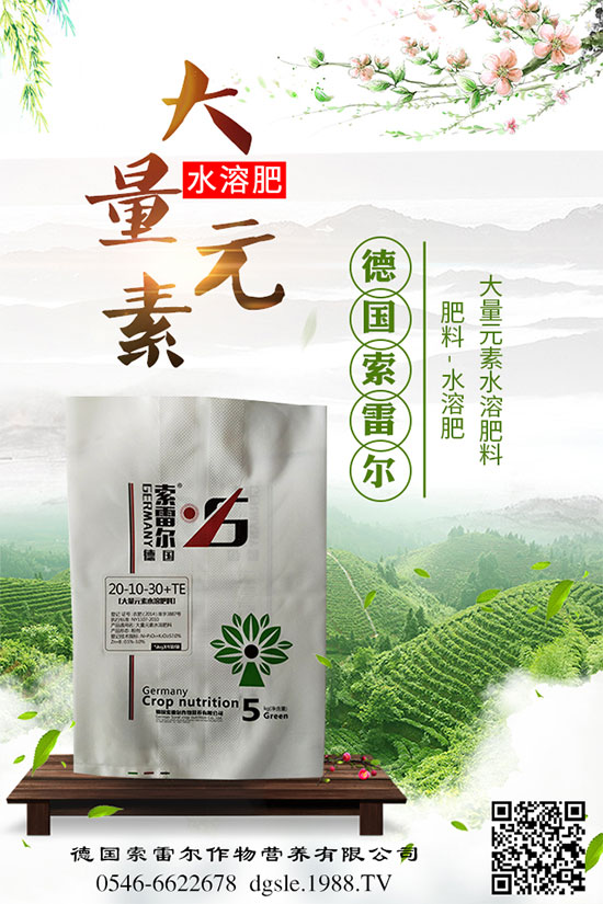 青棗的功效與作用，吃青棗有什么好處？