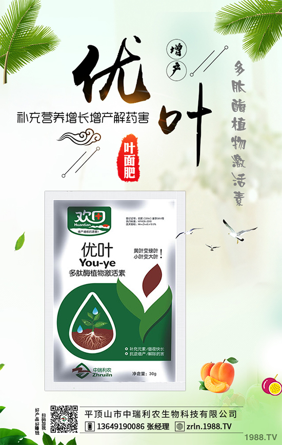 山藥什么時候種植？山藥高產(chǎn)種植技術(shù)要點！