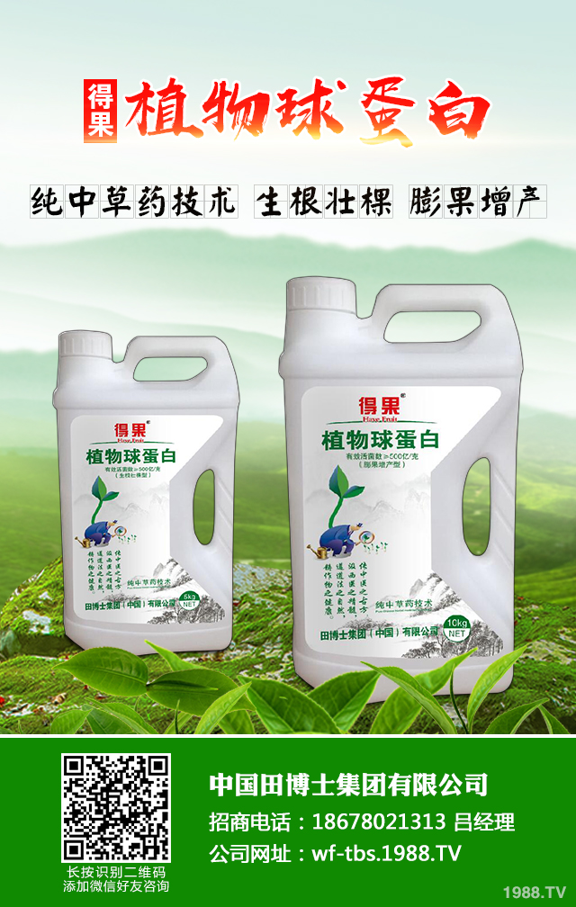 大蔥種植怎么管理？秋季大蔥管理好方法