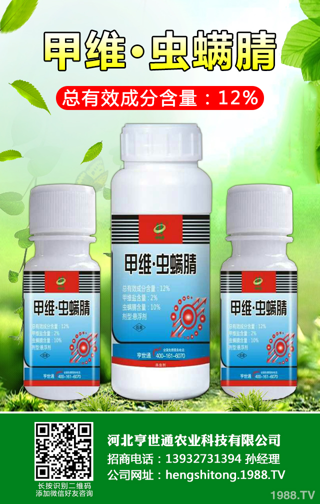 如何巧治馬鈴薯甲蟲害？馬鈴薯甲蟲害防治技巧