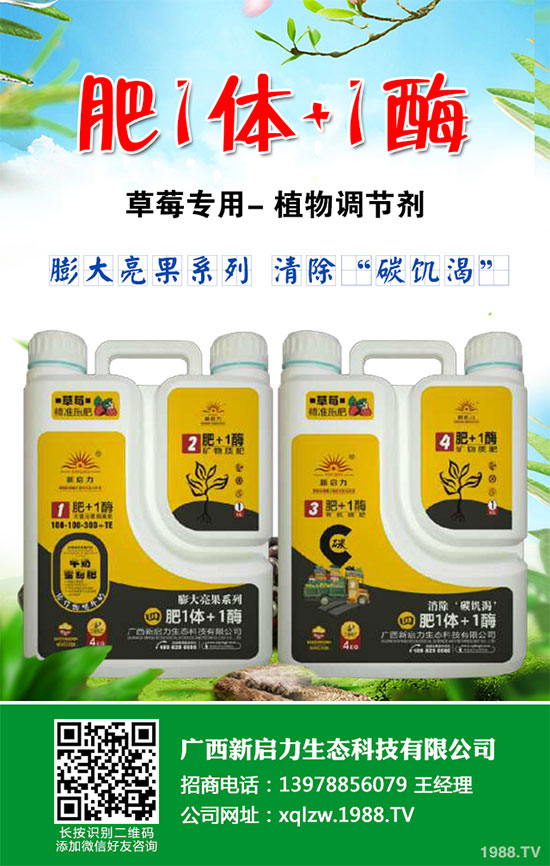 西班牙LIDA Plant Research推出防治番茄斑潛蠅有機(jī)殺蟲(chóng)劑ECOTHRIN