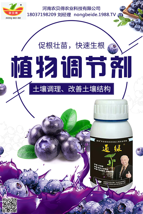 大蔥該如何育苗？育苗后大蔥管理方案