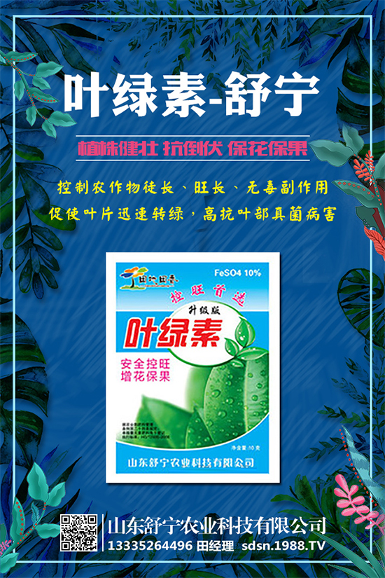 柿子怎么種植？種植柿子的注意事項有哪些？