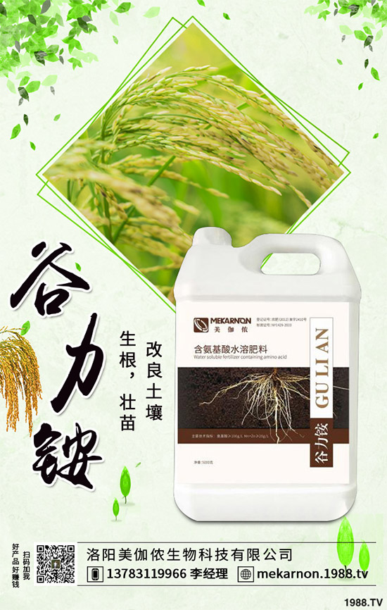 茼蒿該怎么播種？茼蒿高產種植管理方案