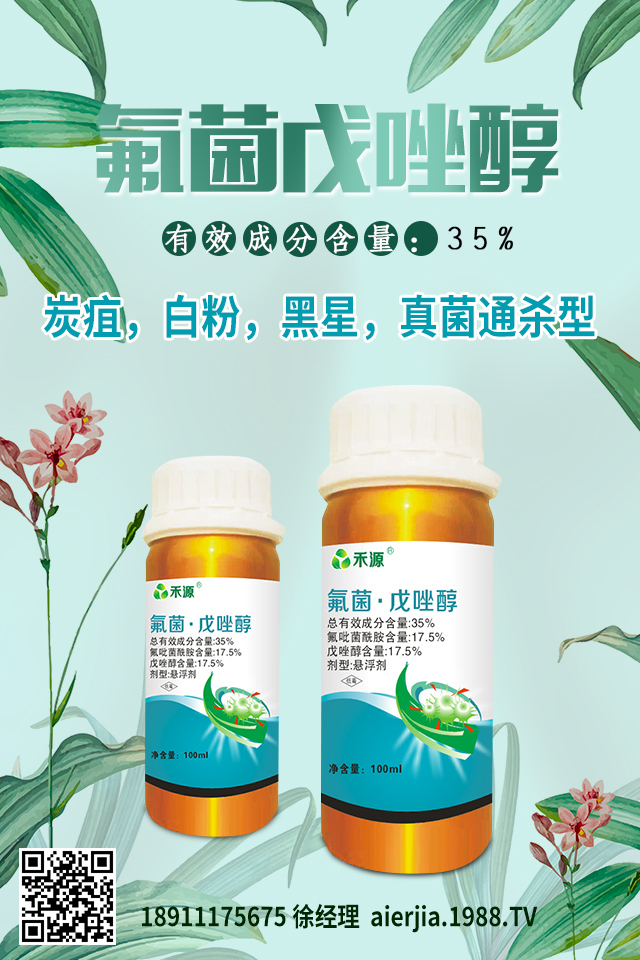 芹菜黑心腐爛怎么防治？芹菜黑心腐爛要對癥防治