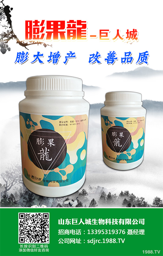 萵苣該如何施肥？萵苣的高產(chǎn)施肥技術(shù)有哪些？這些方法很重要！