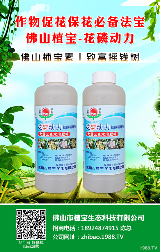 茼蒿葉斑病危害這么大，到底該如何防治？茼蒿葉斑病防治措施