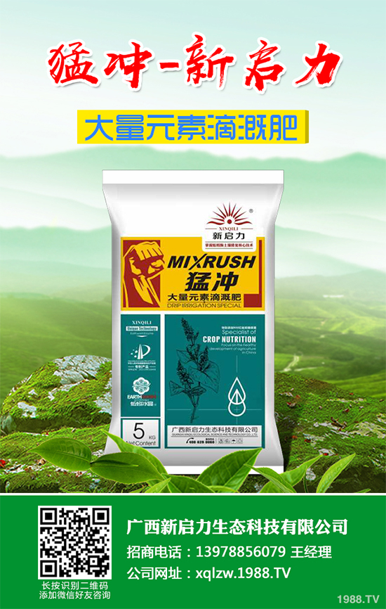 茼蒿葉斑病危害這么大，到底該如何防治？茼蒿葉斑病防治措施