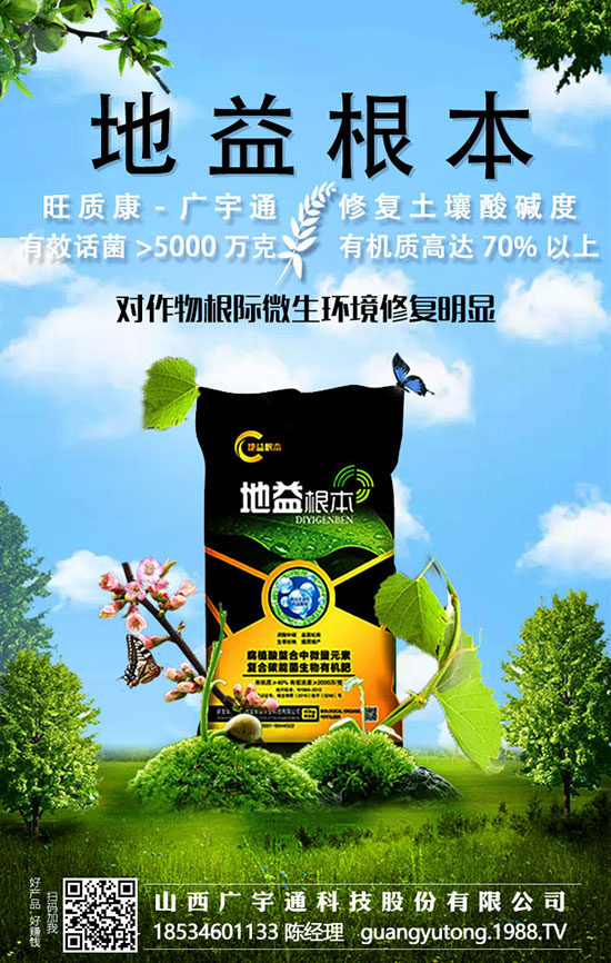 上海青的6大種植方法，增產(chǎn)增收不再愁