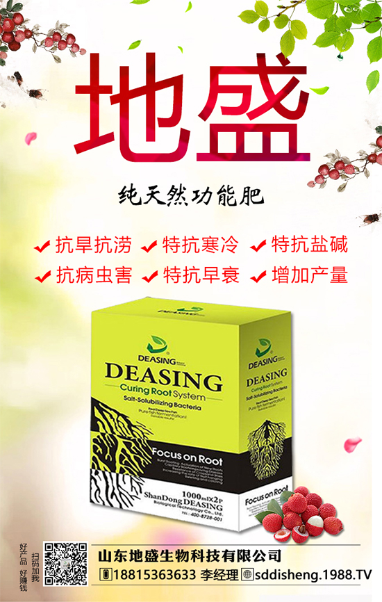 油茶樹的種植管理方法，油茶樹的經(jīng)濟價值如何？