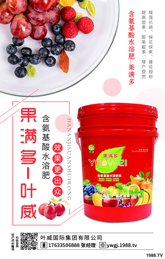 芹菜根腐病是如何發(fā)生的？該怎樣防治？快來(lái)看看吧！