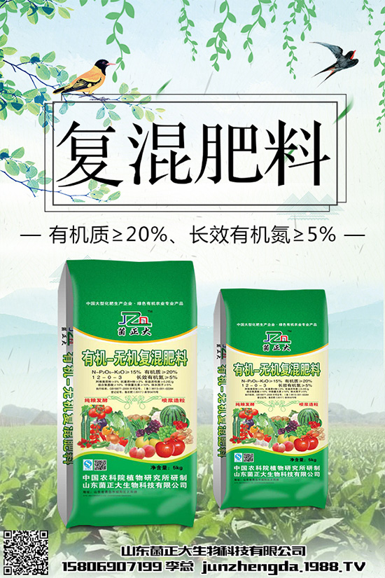 種植香菇前景如何？2020年香菇種植前景分析