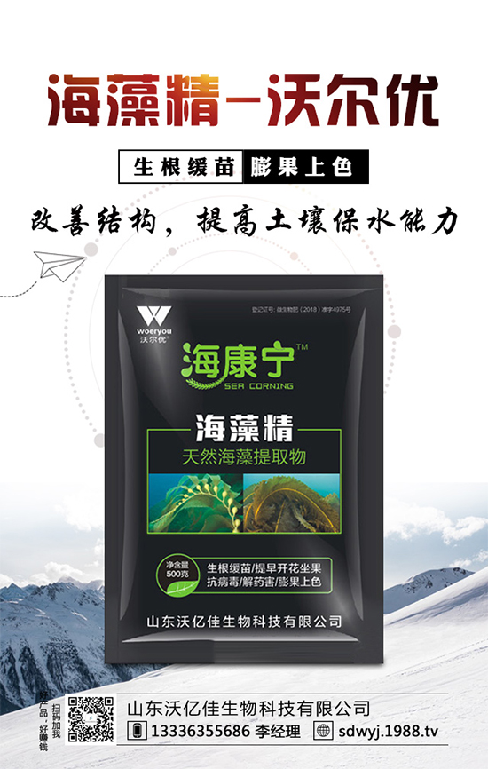 露地辣椒什么時候種植？露地辣椒高產(chǎn)種植技術(shù)