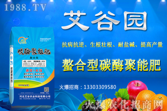 大豆價(jià)格抬頭還會(huì)繼續(xù)漲嗎？2020年秋季大豆價(jià)格預(yù)測(cè)