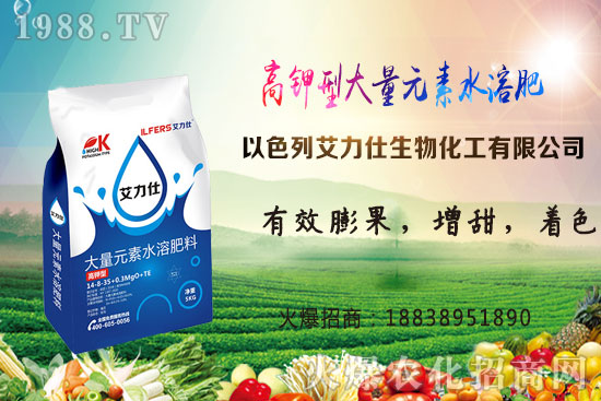 馬鈴薯晚疫病危害有哪些？打什么藥好？馬鈴薯晚疫病防治技術(shù)！